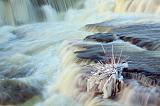 Falls At Almonte_11636-8